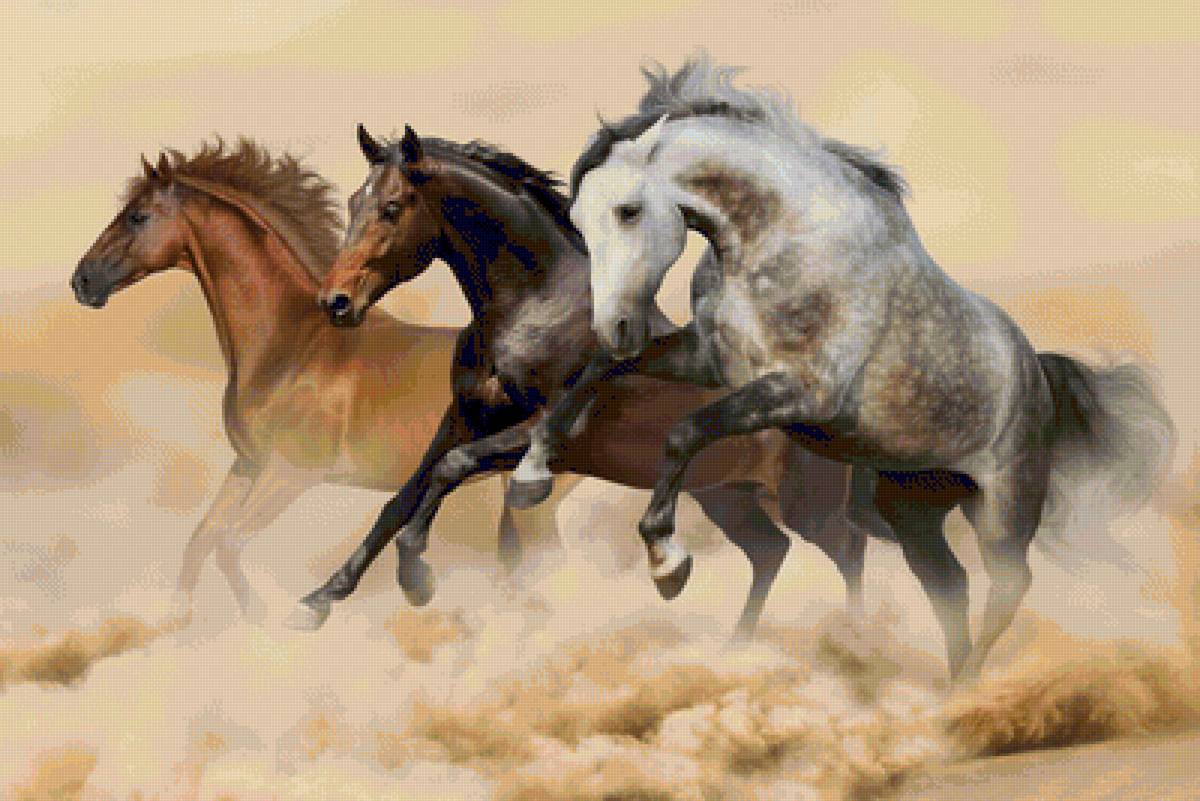 horses - horses - предпросмотр