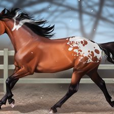 Схема вышивки «horse»