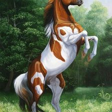 Схема вышивки «horse»