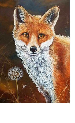 Лиса - звери, животные - оригинал