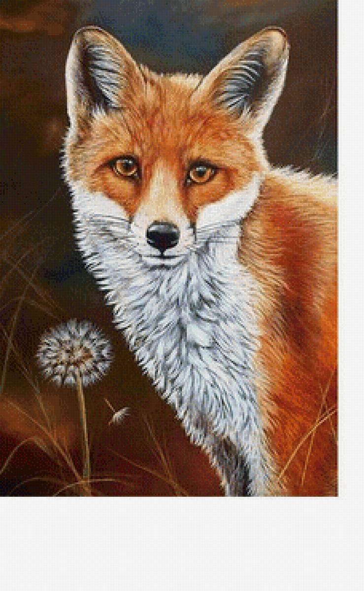 Лиса - звери, животные - предпросмотр