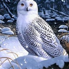 Схема вышивки «птицы»