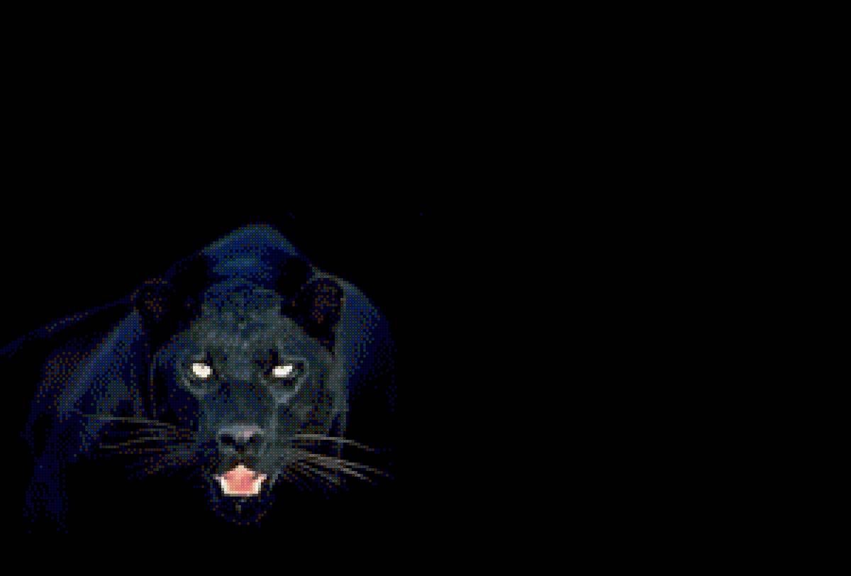 pantera - предпросмотр