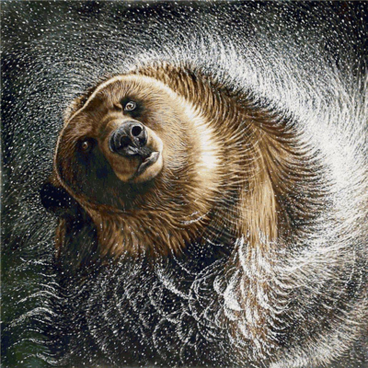 дикие - предпросмотр