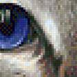 Предпросмотр схемы вышивки «кот» (№1828513)