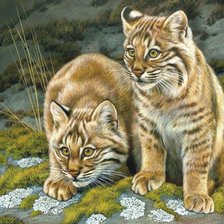 Схема вышивки «№1828682»