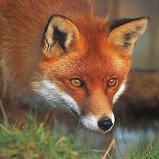 Схема вышивки «№1828961»