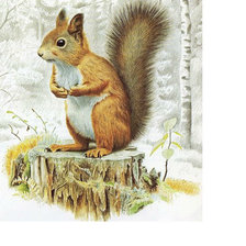 Схема вышивки «Белочка на пне»