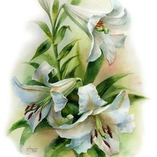 Схема вышивки «Лилия 1»