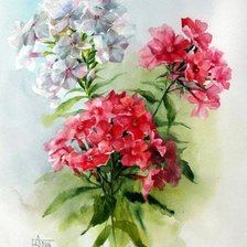 Схема вышивки «Цветы»