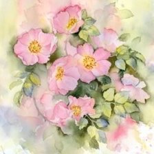 Схема вышивки «Шиповник»