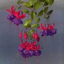 После дождя