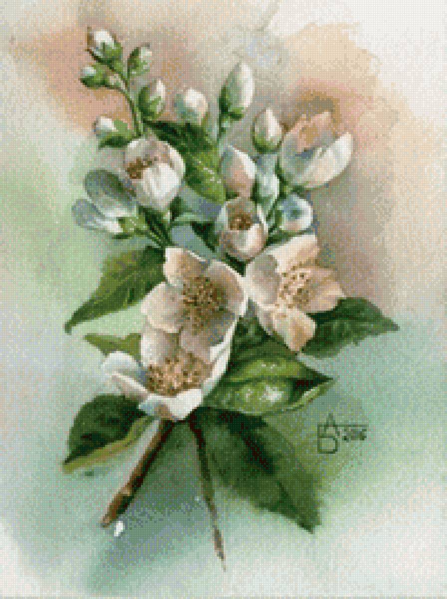 Жасмин 2 - предпросмотр