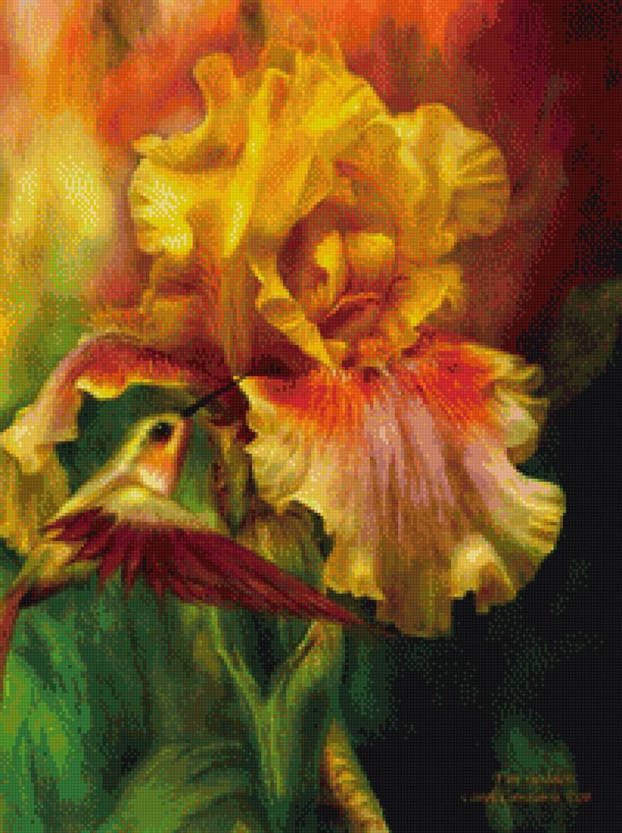 Колибри на цветке - ирис, цветок, птичка, колибри - предпросмотр