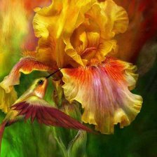 Схема вышивки «Колибри на цветке»