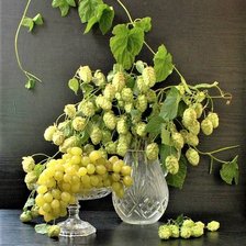 Схема вышивки «ХМЕЛЬ»