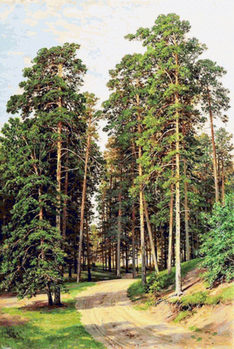 Шишкин - сосны, живопись, природа, лето, картина - предпросмотр