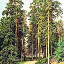 Схема вышивки «Шишкин»