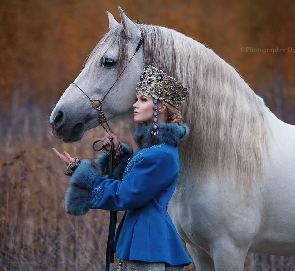 СЮЖЕТ - оригинал