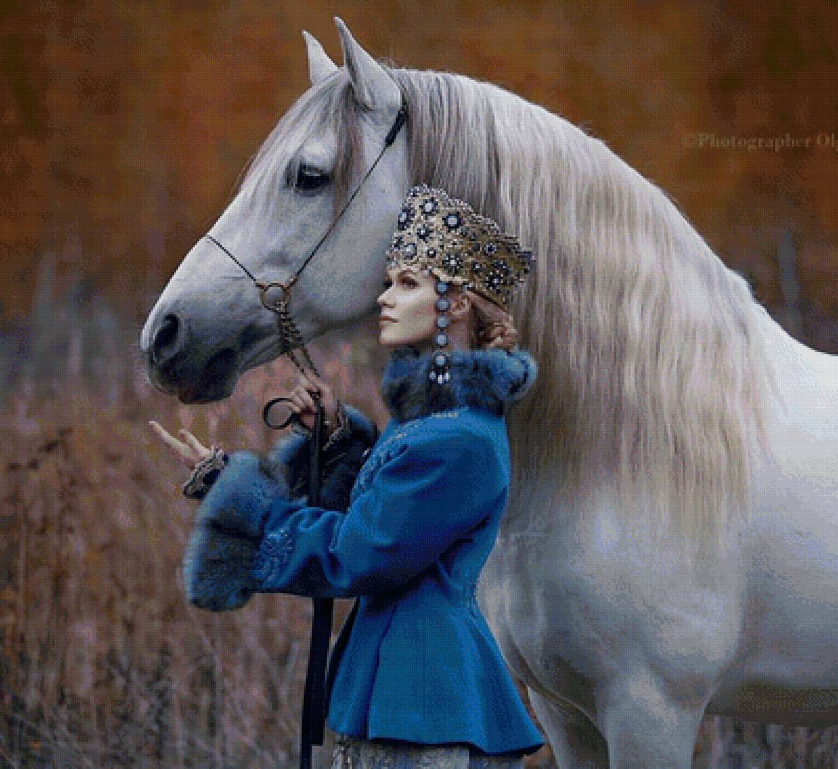 СЮЖЕТ - предпросмотр