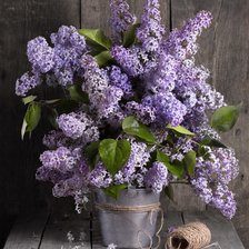 Схема вышивки «цветы»