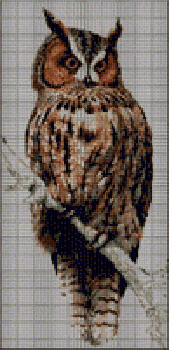 филин - предпросмотр