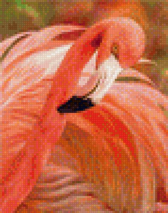 фламинго - предпросмотр