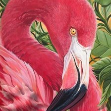 фламинго мини