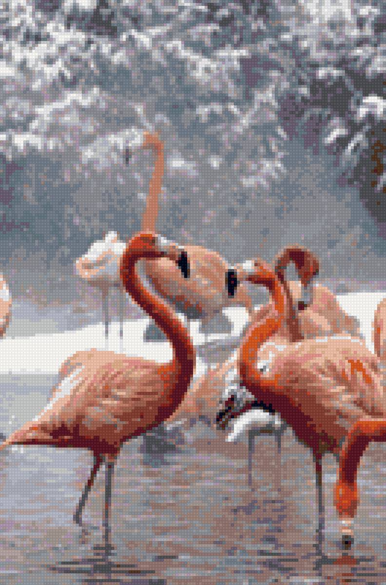 фламинго зимой - предпросмотр