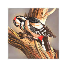 Схема вышивки «Серия "Птицы". Дятел - уменьшенная по просьбе»