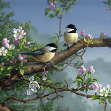 Схема вышивки «Синички на яблоневой ветке»