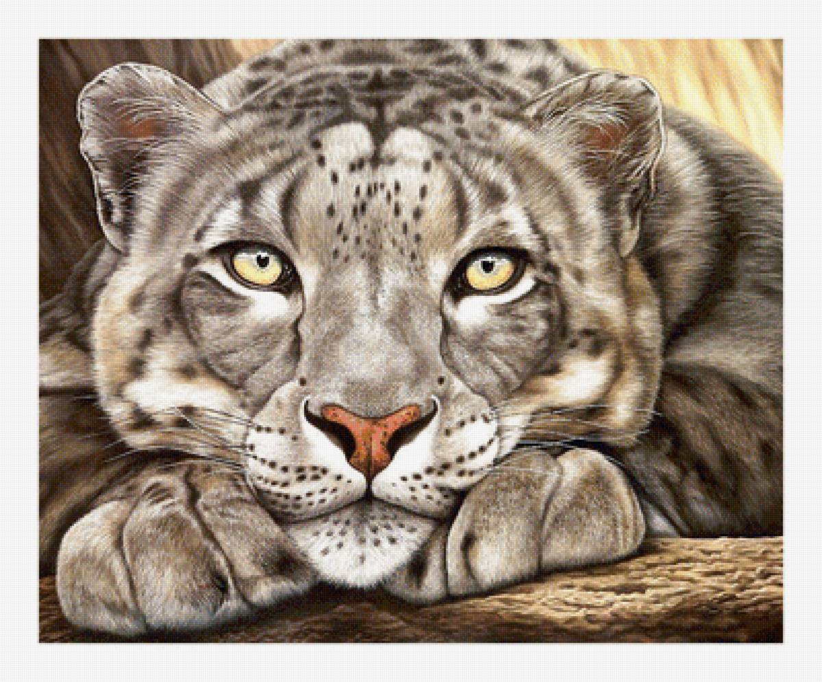 Серия "Хищники". - хищники, животные - предпросмотр