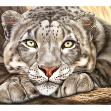 Схема вышивки «Серия "Хищники".»