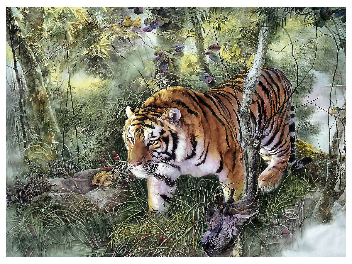 Серия "Хищники". Тигр - животные, тигр, хищники - оригинал