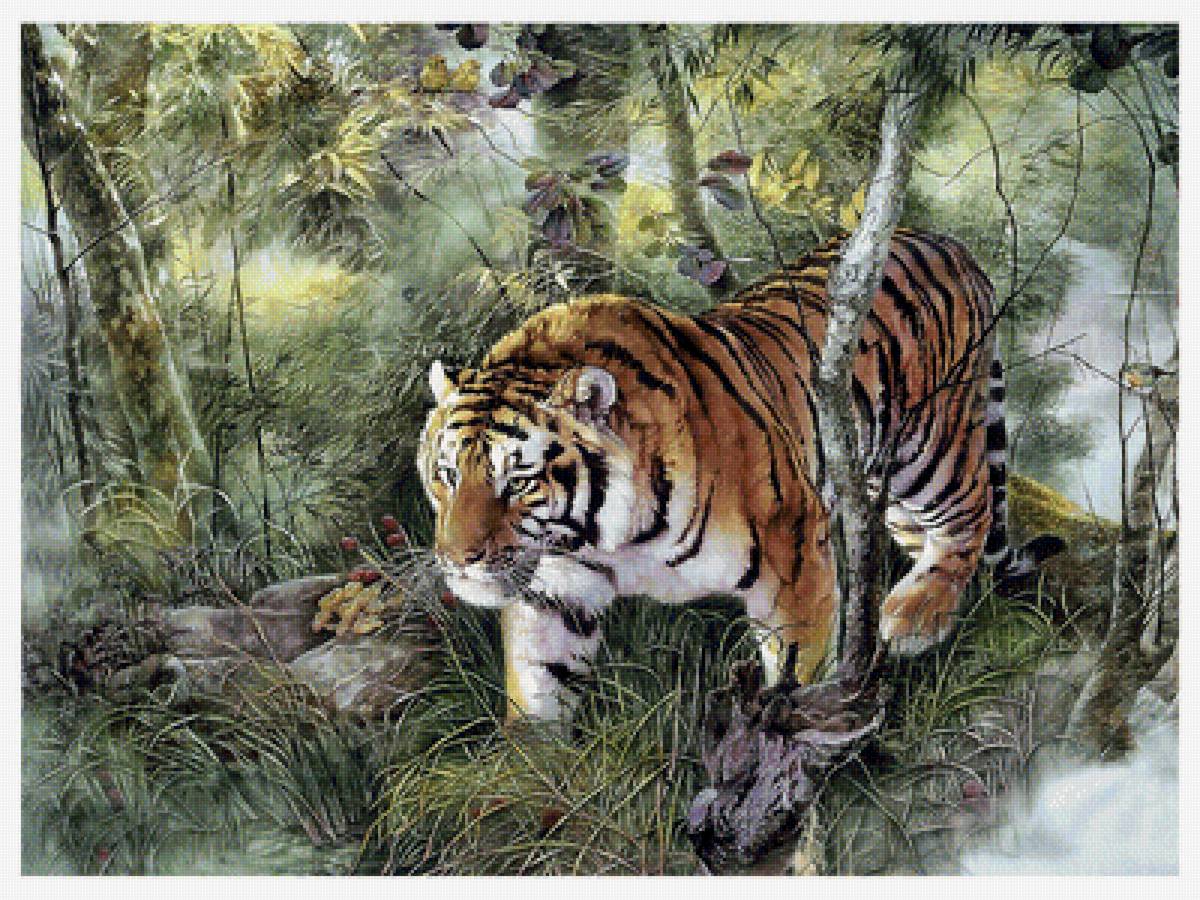 Серия "Хищники". Тигр - хищники, животные, тигр - предпросмотр