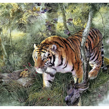 Схема вышивки «Серия "Хищники". Тигр»