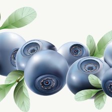 Схема вышивки «панелька»