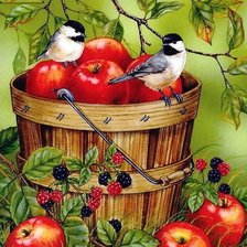 Схема вышивки «птицы»