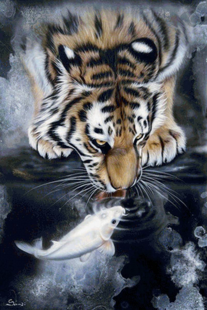 tiger and fish - tiger - предпросмотр
