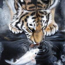 Схема вышивки «tiger and fish»