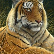 Схема вышивки «tiger»