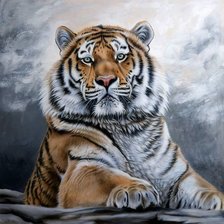 Схема вышивки «tiger»