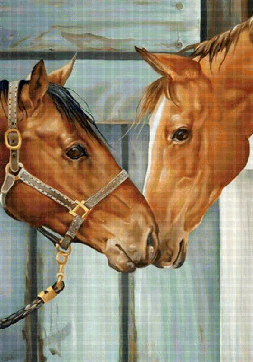 horses - horse - предпросмотр