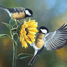 Схема вышивки «птицы»