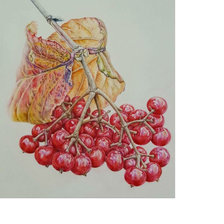 Схема вышивки «Красные ягоды»