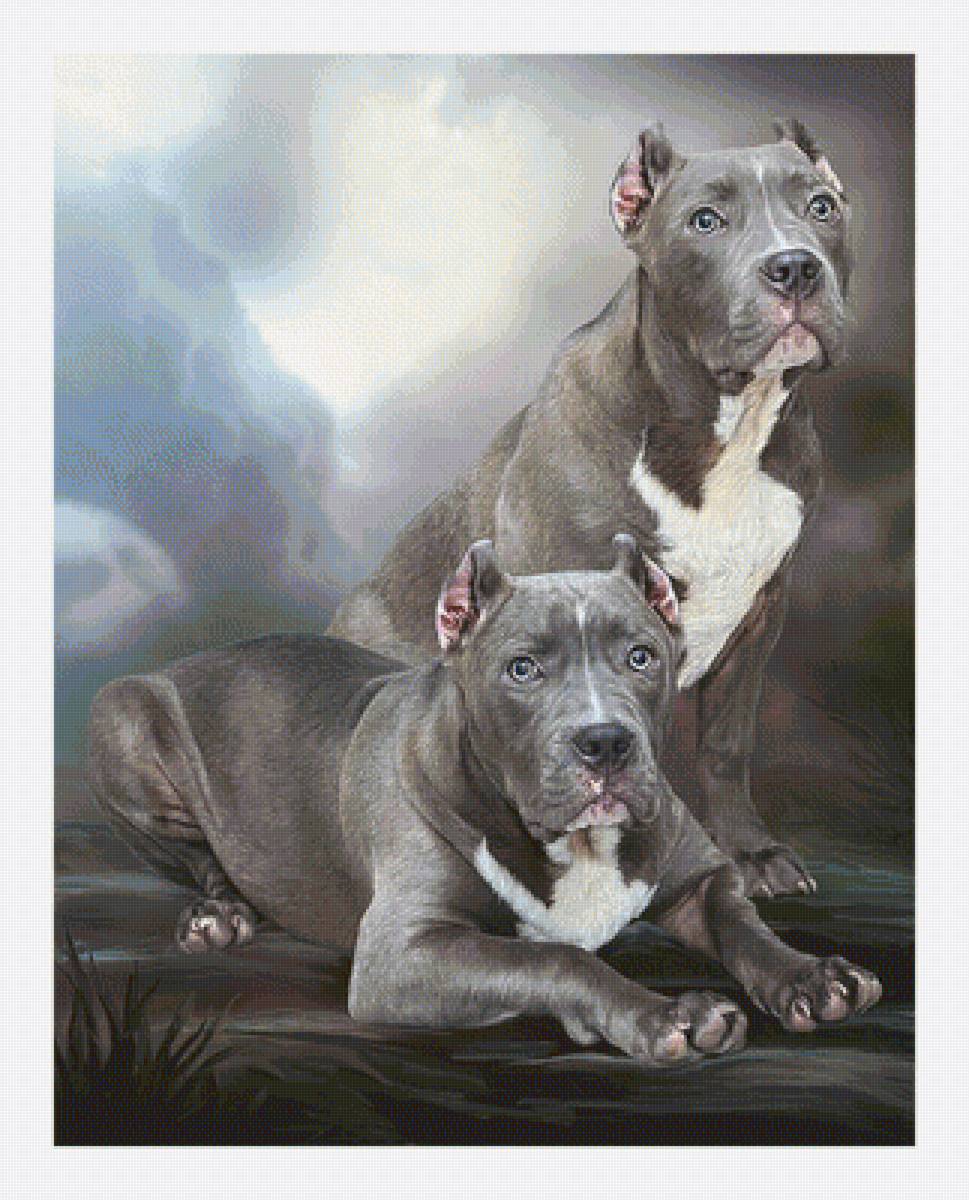 Серия "Собаки". - животные, собаки - предпросмотр