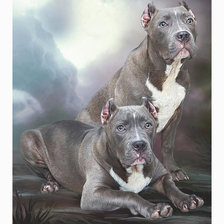 Схема вышивки «Серия "Собаки".»