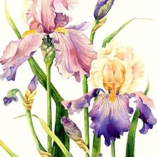 Схема вышивки «№1831774»