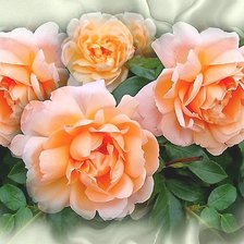 Схема вышивки «№1831796»