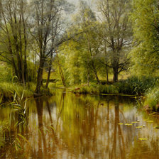 Лесной ручей